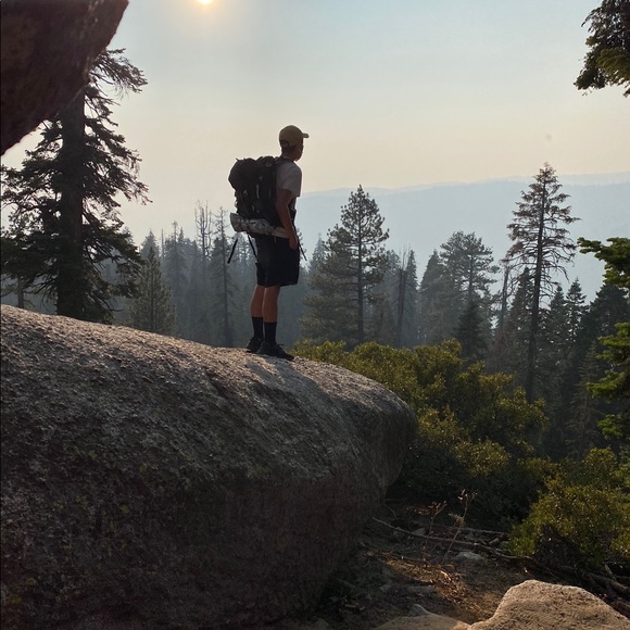 elvisbui36